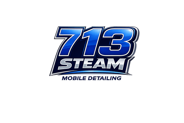 713 Steam Mobile Detailing